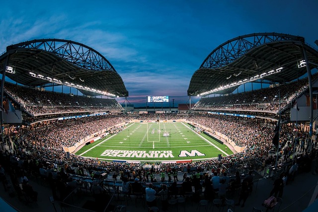 括范迪克在 括范迪克在