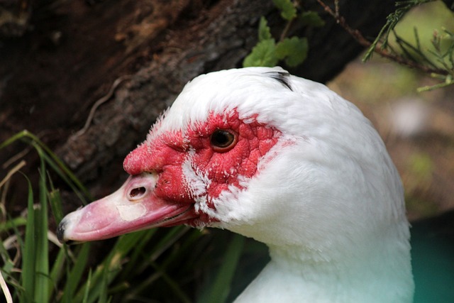 這句話或許 這句話或許